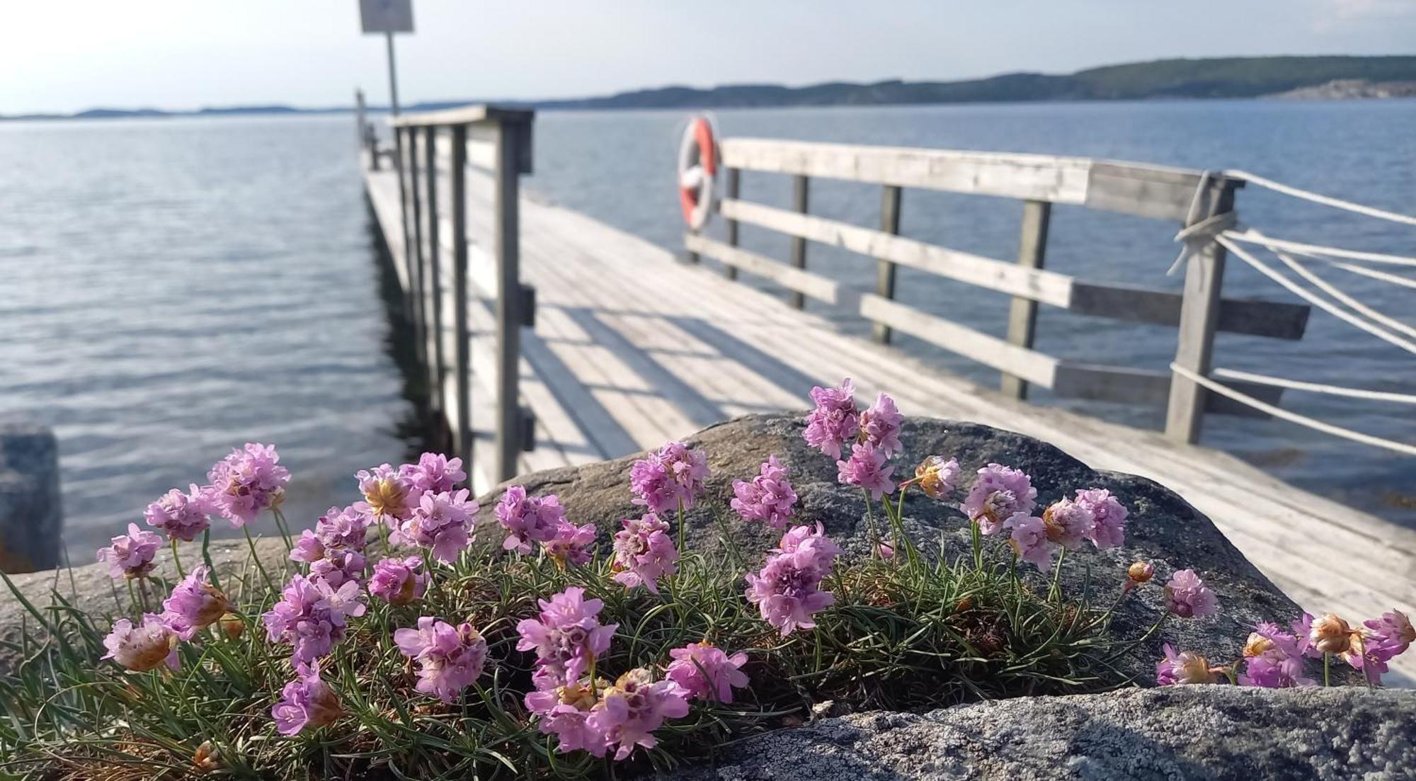 Tofte Guesthouse Naera Hav, Bad Och Marstrand Lycke 외부 사진